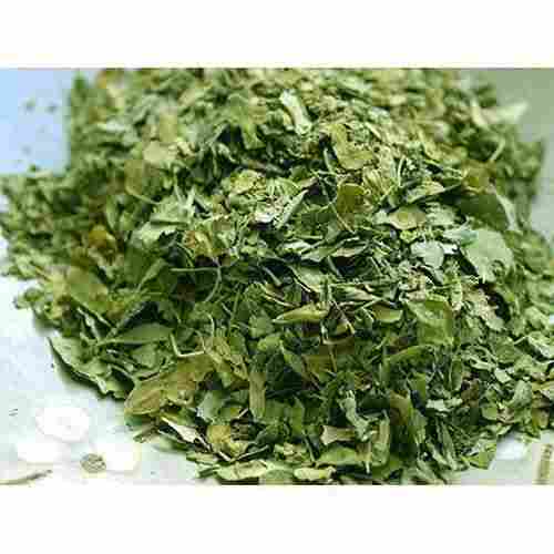 Vitamins And Minerals Healthy Rich In Antioxidants Green Moringa Dried Leaves