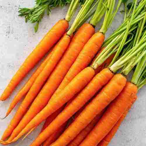 100% Naturally Grown Sweet Testing Root Vegetable Fresh Red Carrot