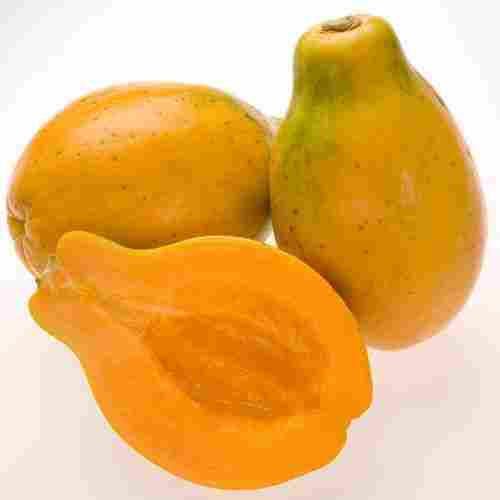 Sweet Superior Soft Texture Yellow Orange Outside Calcium Pear Shaped Fresh Papaya