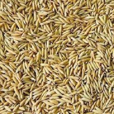 ब्राउन ऑर्गेनिक और ताज़ा धान प्राकृतिक रूप से उगाए गए चावल के बीज 