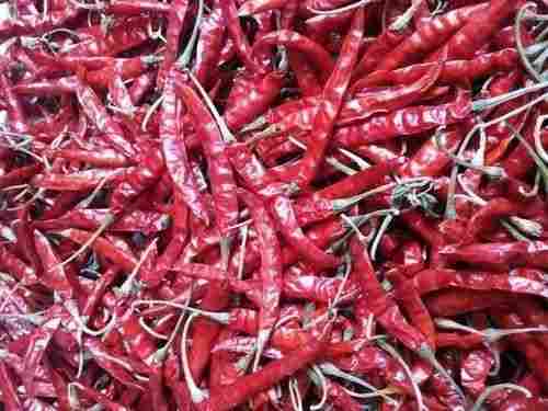 Hot And Spicy Hygienically Preserved Natural Fresh Dry Red Chilli