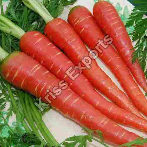 High Fiber Healthy Natural Rich Taste Organic Red Fresh Carrot