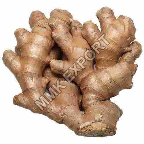 Fine Rich Healthy Natural Taste Chemical Free Brown Organic Fresh Ginger