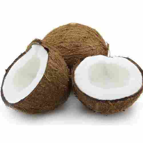Farm Fresh Naturally Grown Healthy Vitamins Minerals Rich Natural And A Grade Coconut