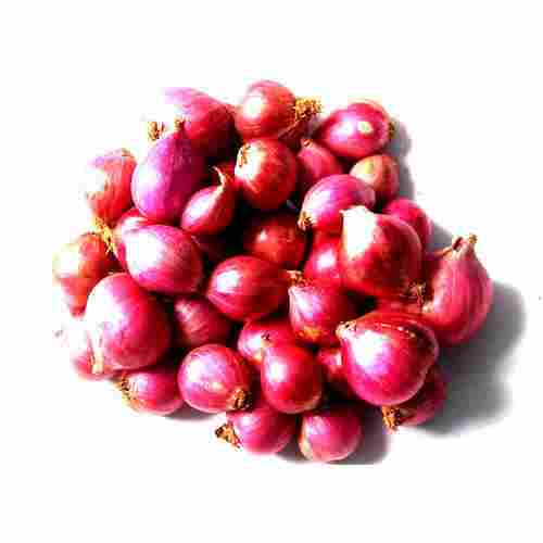 Farm Fresh Vitamins Enriched Healthy Small Shape Raw Onions