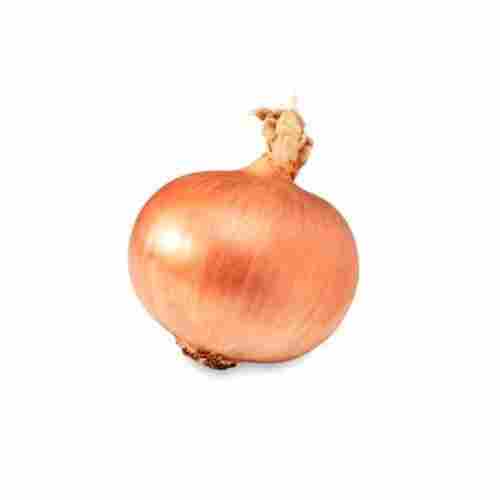 Healthy Farm Fresh Naturally Grown Round Shape Brown Onion
