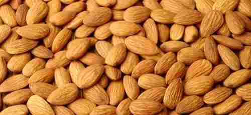 Hygienically Processed Rich In Vitamins 100% Natural And Healthy Dried Almond Nuts