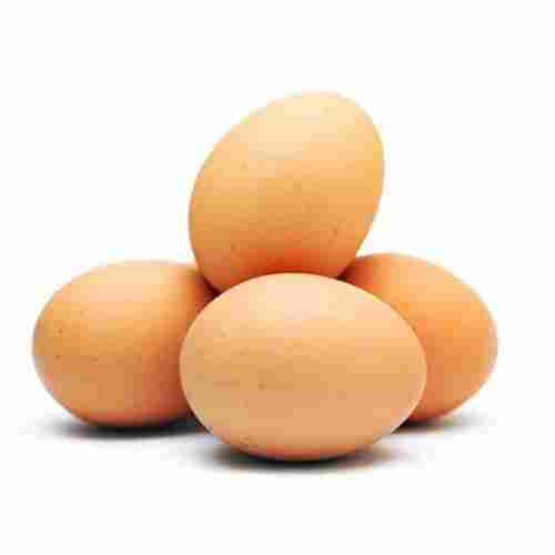 Oval Brown Eggs