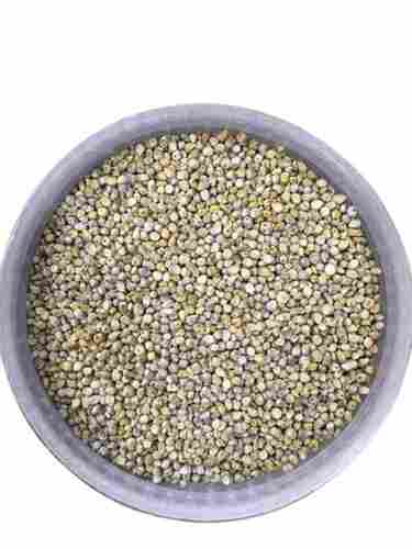 100% Organic Gluten Free Bajra Seeds For Agriculture Pearl Millet Plants