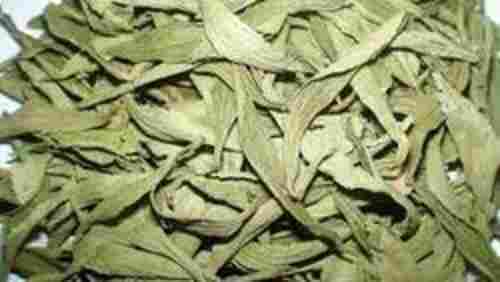 Stevia Dry Dark Green Leaves(Exceptional Purity And Insect Free)