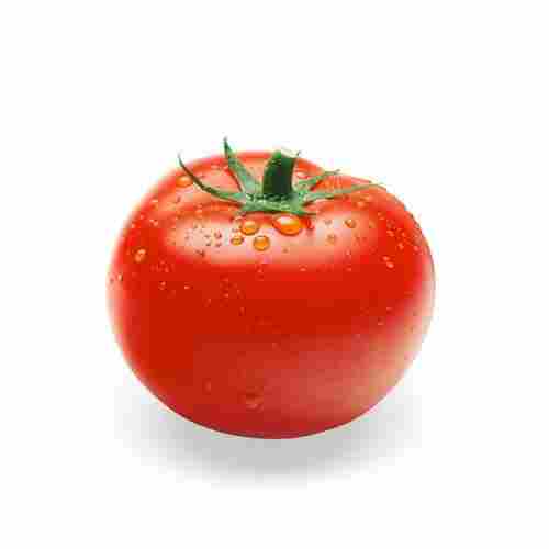 Healthy Rich In Vitamins Potassium Antioxidant Natural Red Fresh Tomato