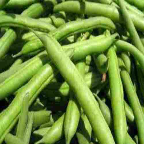 High Fiber Chemical Free No Artificial Color Rich Natural Taste Fresh Green Beans