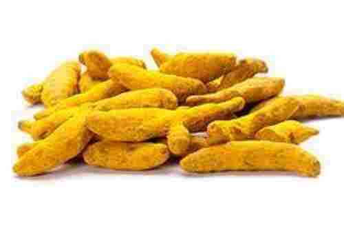 A Grade Dried Bitter Taste Organic Turmeric Finger For Cooking Use