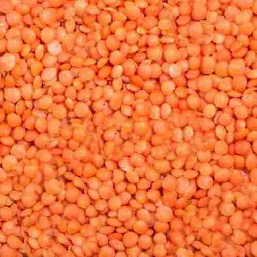High In Protein Organic Red Masoor Dal