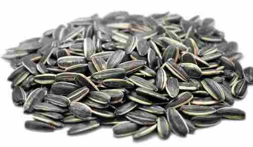 High In Protein Vitamins Healthy Fats Natural Black Sunflower Seed
