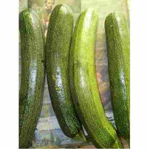 Naturally Grown Antioxidants Healthy Farm Fresh Pure Green Zucchini