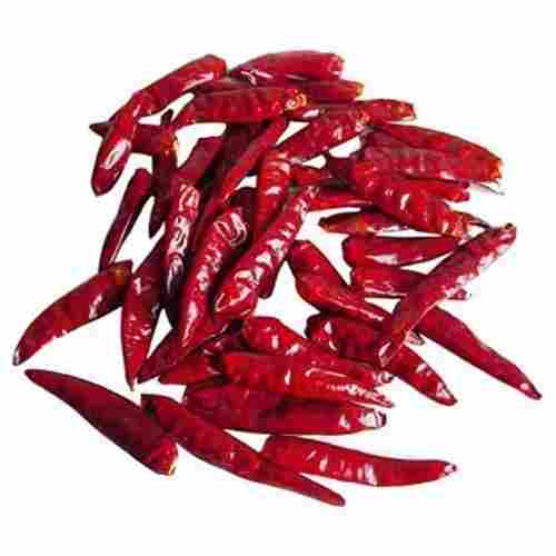 Hygienically Packed Flavourful Indian Origin Naturally Grown Spicy Rich Dried Red Chilli