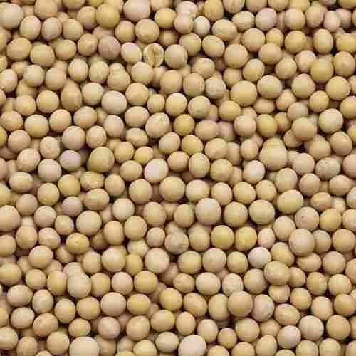 Organic And Natural Sun Dried Soya Bean Good For Health