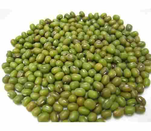 High Grade Green Mung Beans