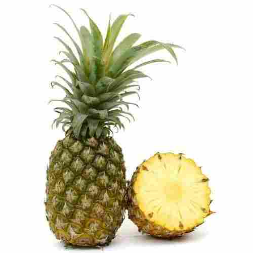 100 Percent Pure And Organic Farm Fresh A Grade Pineapple Fruits