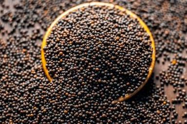 Black Mustard Seeds Used In Cooking And Make Oil
