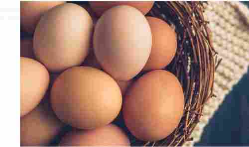 21 Oz Size 100 Percent Natural And Fresh Chicken Brown Eggs