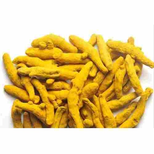 Aromatic And Flavourful Indian Origin Naturally Grown 100% Pure A Grade Fresh Turmeric Finger