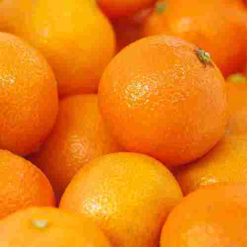 Fresh Oranges Fruit