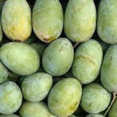 No Preservatives No Artificial Color Sweet Delicious Rich Natural Taste Healthy Green Fresh Langra Mango
