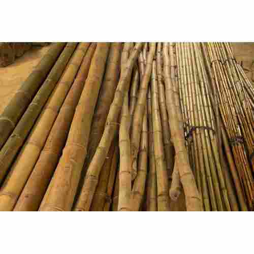 10 M Size High Strength And Light Weight Eco-Friendly Bamboo Pole