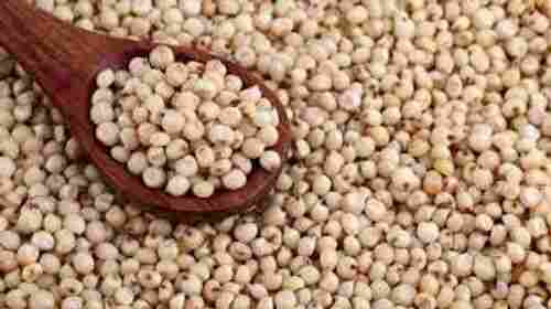 Indian Originated Healthy Natural Solid Dried Whole Sorghum Grains