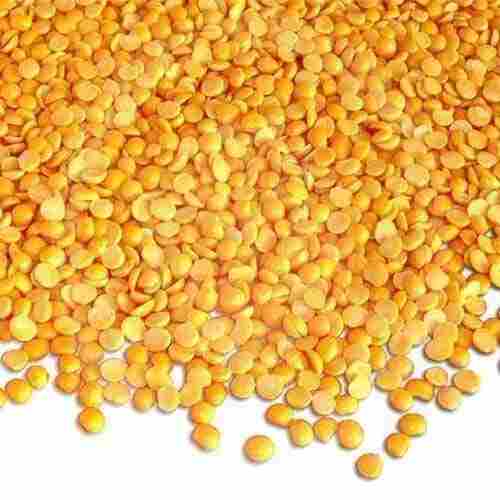 Healthy Good Source Of Protein Fresh Polished And Natural Yellow Toor Dal