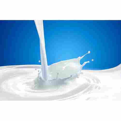 100% Pure And Adulteration Free Calcium Natural Full Cream Milk