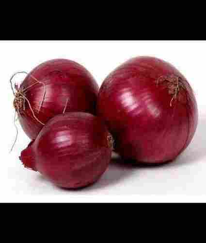 Export Quality Farm Fresh Whole Red Onion (Pyaz) For Cooking