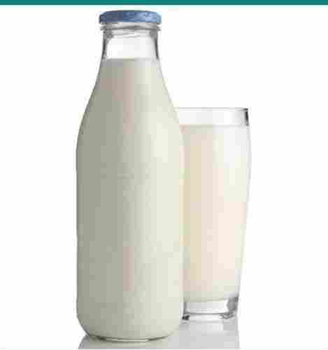Fresh And Healthy Pure Natural Calcium Enriched Hygienically Packed Organic Fresh Cow Milk