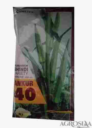 10 Kilogram Packaging Size 13 Percent Moisture Common Cultivation Madhuri Okra Seeds 