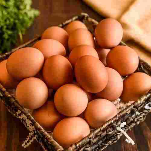 Highly Nutrient Enriched Pure Healthy Oval Shaped Poultry Farm Eggs