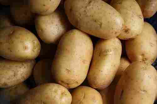 1 Kilogram 10 Days Shelf Life Seasoned Fresh Potatoes