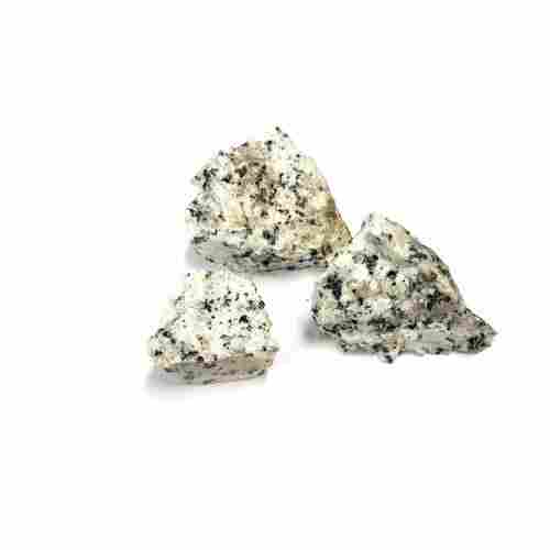 Quasi Dalmatian Stone Dalmatian Semi Precious Stone