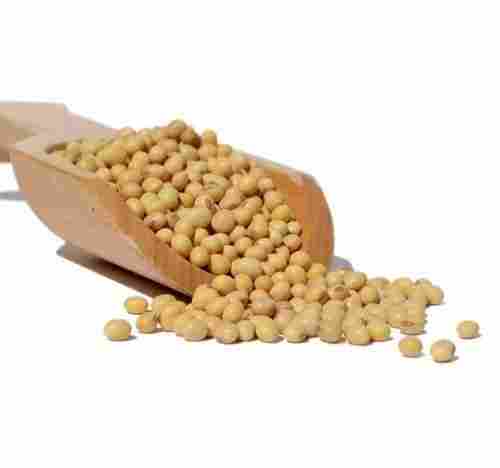 12 Month Shelf Life Natural Dried Whole Soya Bean Seed