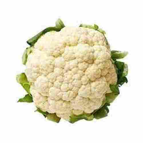 8-10 % Moist Nutrients Preserved Ground Fresh Green Leafy Cauliflower