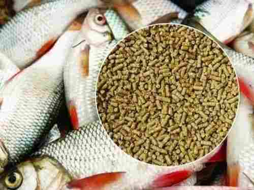 Hygienically Prepared Brown Pure And Dried Nutritional Granular Form Fish Feed