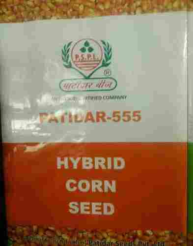 Patidar Hybrid Corn Seeds, Creamy Yellow Color, 80 - 85 Days To Harvest