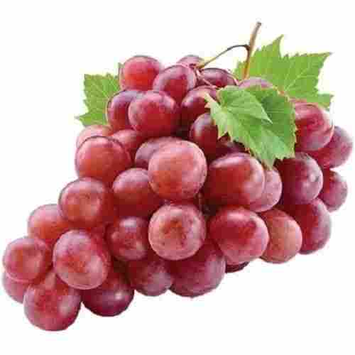 Pack Of 1 Kilogram Sweet Taste Pure And Natural Red Grapes