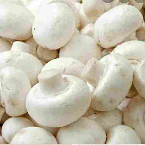 Fresh Organic White Button Mushoom