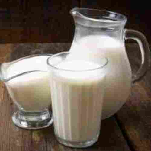 Rich In Nutrients And Healthy Thick Consistency Pure Fresh Organic Cow Milk