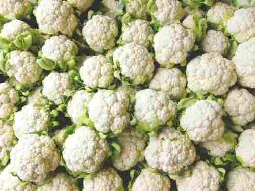 Pack Of 1 Kilogram Green And White Seasoned Fresh Cauliflower 