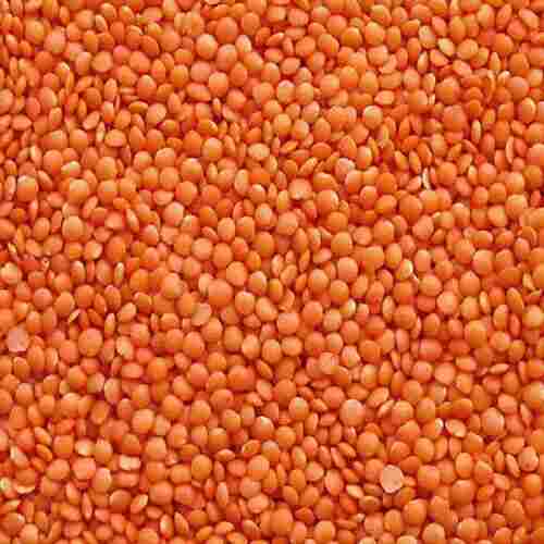 Rich In Protein Fibre And Magnesium Natural Lentils Masoor Dal For Cooking 
