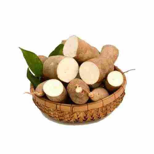 Top Quality Organic Fresh Cassava (Premium Grade)