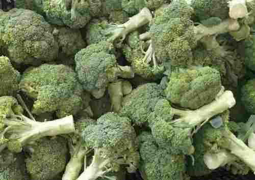 12 % Moisture Raw Processing Farm Fresh Organic Broccoli